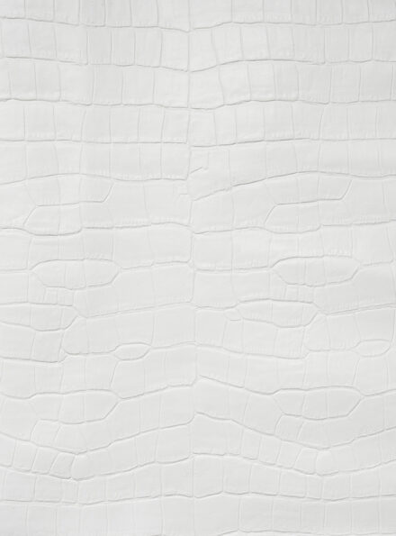 Нил Кроко АНТ Nill Crocco ANT Bianco/Белый