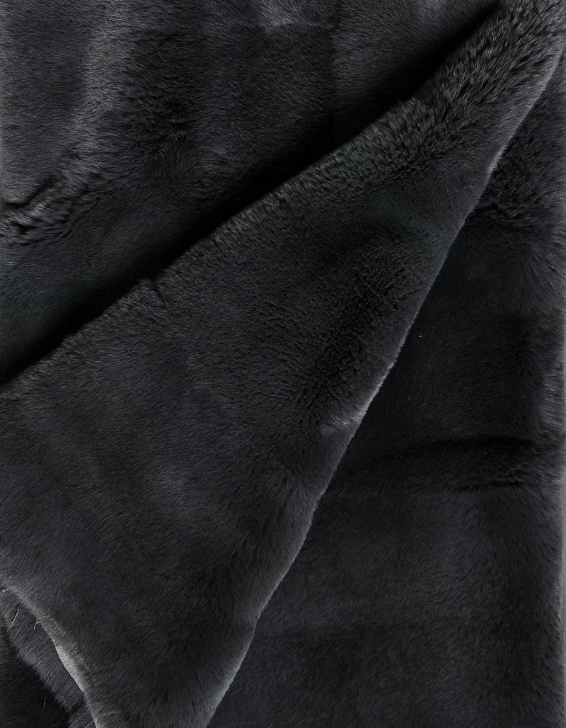 DSB06846