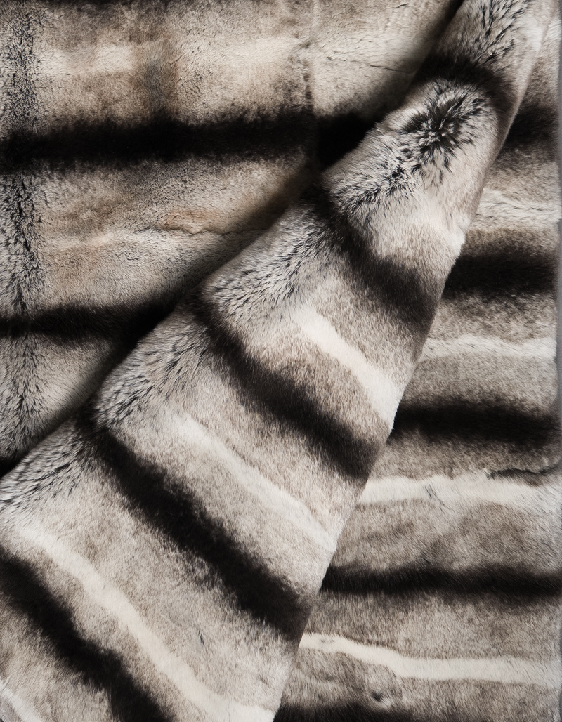 DSB06878